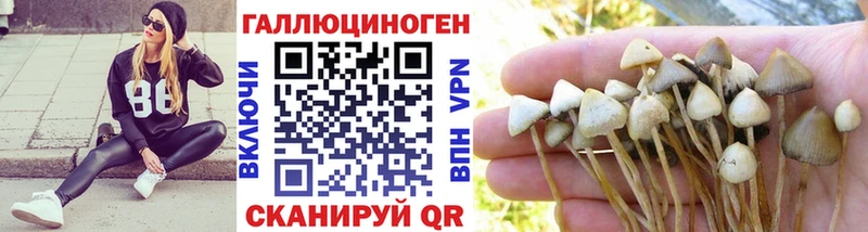 Псилоцибиновые грибы Psilocybe  mega сайт  Старица 