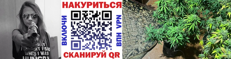 Шишки марихуана LSD WEED Старица